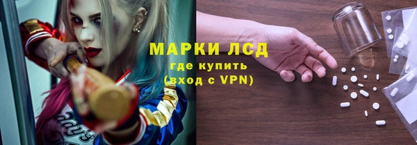 прущие грибы Алзамай