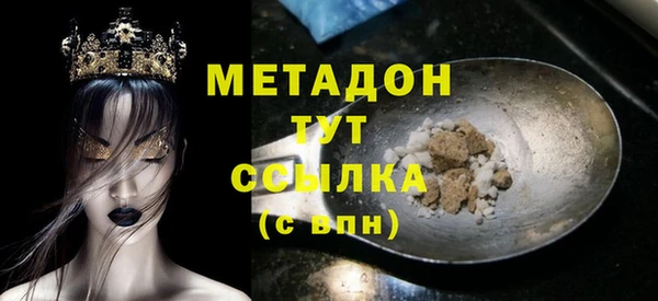индика Алексин