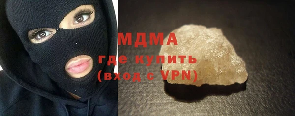 индика Алексин