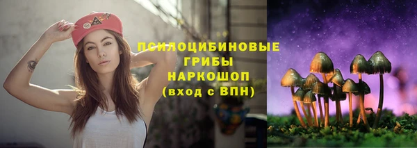 ГАЛЛЮЦИНОГЕННЫЕ ГРИБЫ Навашино