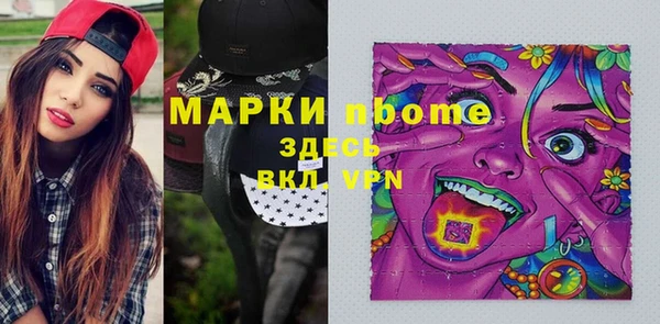 индика Алексин