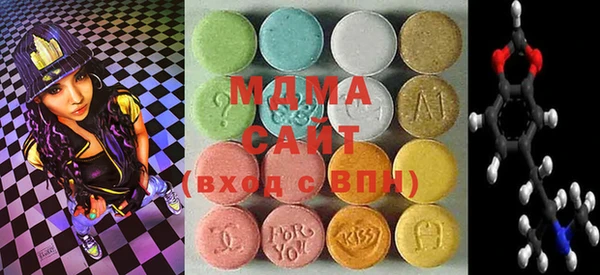 индика Алексин