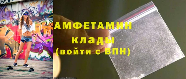 индика Алексин