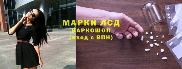прущие грибы Алзамай