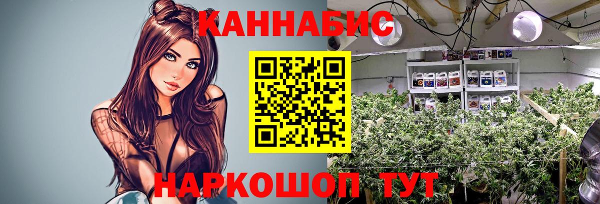 Чебоксары  Шишки марихуана OG Kush  Бошки Шишки Bruce Banner  Каннабис конопля  Вход с VPN 